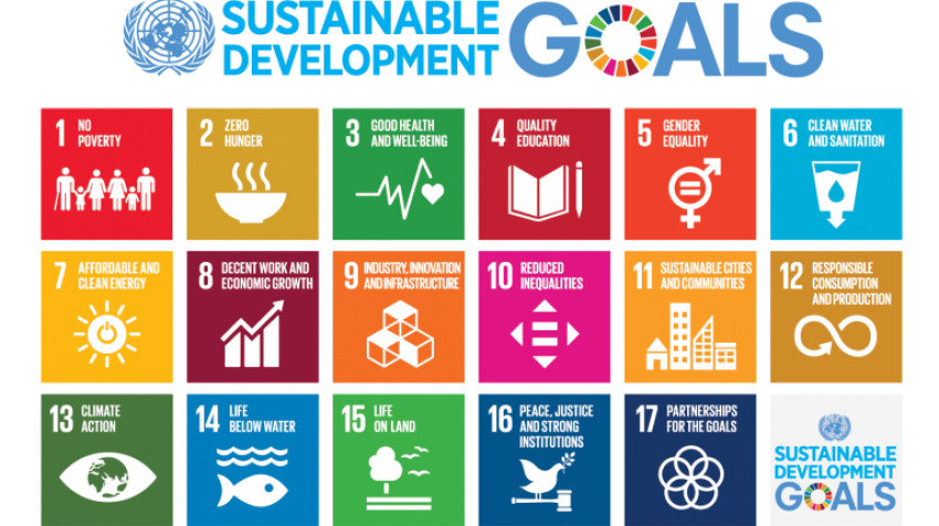 e-sdgs-poster-768x456-1